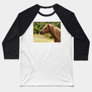 Assateague Pony Blowing Raspberries Baseball T-Shirt